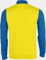 Реглан Joma WINNER жовто-синій 100947.907