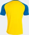 Футболка Joma TEAMWORK жовто-синя 102218.907