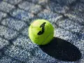 Набір м'ячів для падл-тенісу Joma TOURNAMENT жовтий (3 штуки) 400999.900
