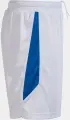 Шорти Joma GLASGOW біло-сині 102975.207