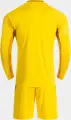 Комплект воротарської форми Joma ZAMORA X жовтий 104407.930