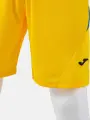 Шорти Joma TOKIO II жовто-сині 105028.907