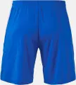 Шорты Joma TOKIO II сине-белые 105028.702