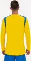 Футболка с длинным рукавом Joma CHAMPION V желто-синяя 101375.907