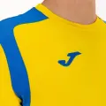 Футболка с длинным рукавом Joma CHAMPION V желто-синяя 101375.907