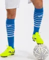 Гетры футбольные Joma PREMIER II сине-белые 400897.702