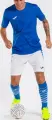 Гетры футбольные Joma PREMIER II сине-белые 400897.702