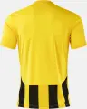 Футболка Joma INTER VI желто-черная 105307.901
