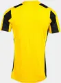 Футболка Joma INTER CLASSIC жовто-чорна 103249.901