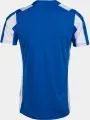 Футболка Joma INTER CLASSIC сине-белая 103249.702
