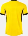 Футболка Joma TOLETUM VII желто-черная 105021.901