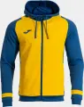 Толстовка Joma LIDER жовто-синя 104300.907