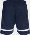 Шорти Joma TOKIO темно-синьо-білі 103541.332