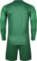 Комплект воротарської форми Kelme Long sleeve goalkeeper suit зелений 3801286.9300