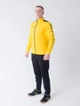 Спортивний костюм Kelme ACADEMY жовто-чорний 3771200.9712