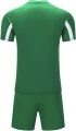 Комплект футбольної форми дитячий Kelme LEON зелено-білий 7351ZB3130.9311
