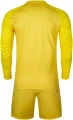 Комплект воротарської форми Kelme ZAMORA II жовтий 7361ZB1256.9716