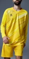 Комплект воротарської форми Kelme ZAMORA II жовтий 7361ZB1256.9716