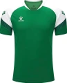 Футболка Kelme BRAVO зелено-біла 7351TX1092.9311