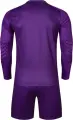 Комплект воротарської форми Kelme ZAMORA II фіолетовий 7361ZB1256.9500