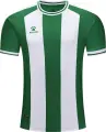 Футболка Kelme GRANADA зелено-белая 7451ZB1795.9311