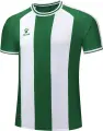 Футболка Kelme GRANADA зелено-белая 7451ZB1795.9311