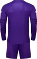 Комплект вратарской формы Kelme ZAMORA III фиолетово-розовый 8461ZB1243.9500