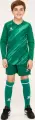 Комплект воротарської форми дитячий Kelme ZAMORA II зелений 7361ZB3256.9300