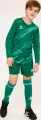 Комплект воротарської форми дитячий Kelme ZAMORA II зелений 7361ZB3256.9300