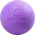 Масажний м'яч LivePro MUSCLE ROLLER BALL фіолетовий LP8501-v