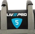 Мішок для кросфіту LivePro POWER BAG 5 кг чорно-сірий LP8120-5
