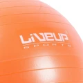 Фітбол LiveUp ANTI-BURST BALL помаранчевий LS3222-65o