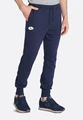 Спортивные штаны Lotto PANTS DELTA FL RIB темно-синие L58646/1CI