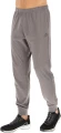 Спортивные штаны Lotto MSC PANT CUFF MEL серые 217577/P73