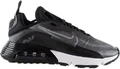 Кросівки Nike Air Max 2090 чорно-сірі CW7306-001