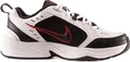 Кроссовки Nike Air Monarch IV 415445-101
