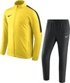 Спортивний костюм Nike Dry Academy 18 TRK жовто-чорний 893709-719