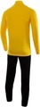 Спортивный костюм Nike Dry Academy 18 TRK желто-черный 893709-719