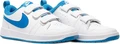 Кросівки дитячі Nike PICO 5 GS CJ7199-103