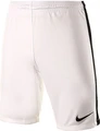 Шорты Nike League Knit Short NB белые 725881-100
