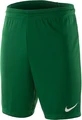Шорты Nike Park II Knit Short WB (SP16) зеленые 725903-302