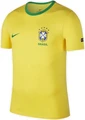 Футболка Nike Brasil Tee Crest желтая 888320-749
