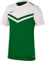 Футболка Nike Victory II JERSEY зелено-біла 588408-301