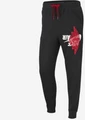 Спортивні штани Nike JUMPMAN WINGS CLASSICS PANT сірі BQ8470-010