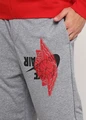 Спортивні штани Nike JUMPMAN WINGS CLASSICS PANT сірі BQ8470-091