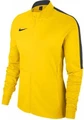 Олімпійка жіноча Nike Womens Academy 18 Knit Track Jacket жовта 893767-719