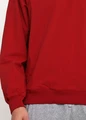 Свитшот Nike M SB TOP WIND красный AJ9748-613