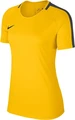Футболка жіноча Nike WOMEN'S ACADEMY 18 жовта 893741-719