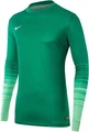 Воротарська кофта Nike CLUB GENIUS GK JERSEY зелена 678164-319