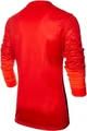 Воротарська кофта Nike CLUB GENIUS GK JERSEY червона 678164-605